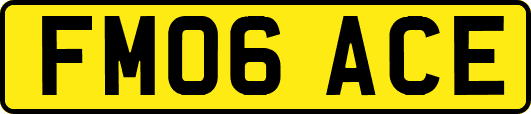 FM06ACE