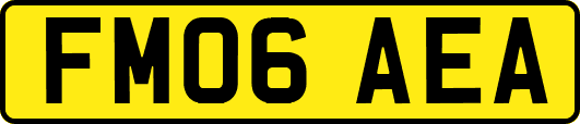 FM06AEA