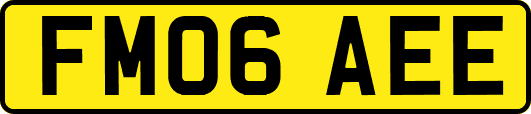 FM06AEE