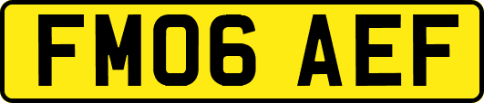 FM06AEF