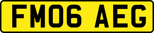 FM06AEG