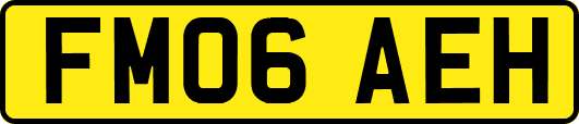 FM06AEH