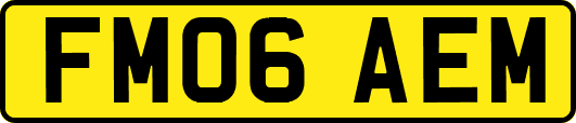 FM06AEM