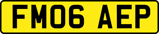 FM06AEP