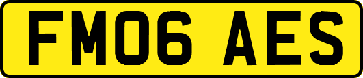 FM06AES