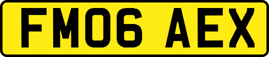 FM06AEX