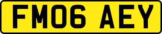 FM06AEY