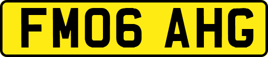 FM06AHG