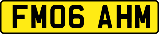 FM06AHM