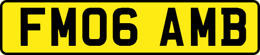 FM06AMB