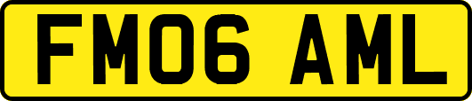 FM06AML