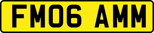 FM06AMM