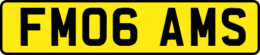 FM06AMS