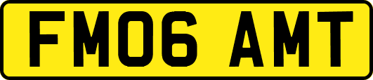 FM06AMT