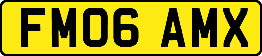 FM06AMX