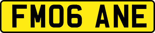FM06ANE