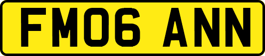 FM06ANN