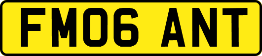 FM06ANT