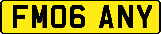 FM06ANY