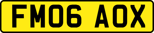 FM06AOX