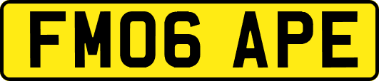 FM06APE