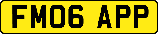 FM06APP