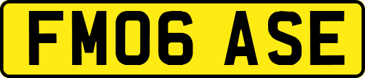 FM06ASE