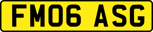 FM06ASG