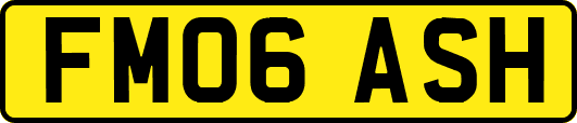 FM06ASH