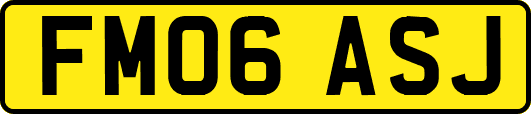 FM06ASJ