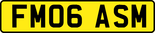 FM06ASM