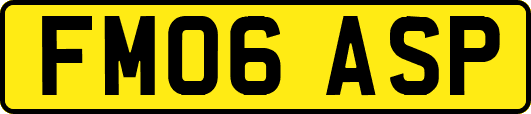 FM06ASP