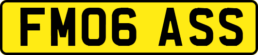 FM06ASS