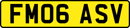 FM06ASV