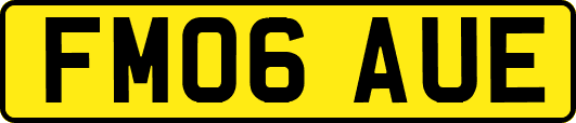 FM06AUE
