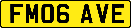 FM06AVE