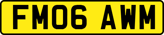 FM06AWM