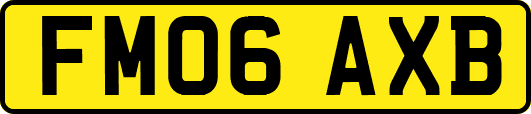FM06AXB