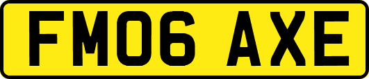 FM06AXE