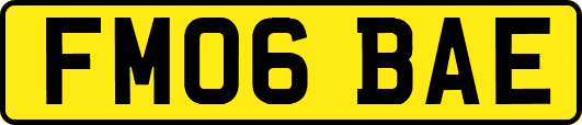 FM06BAE