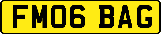 FM06BAG