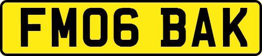 FM06BAK