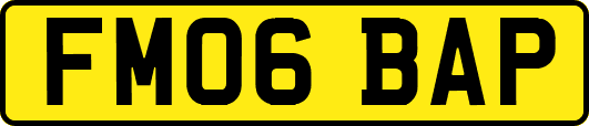 FM06BAP
