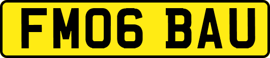 FM06BAU