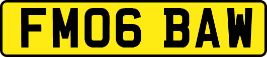 FM06BAW