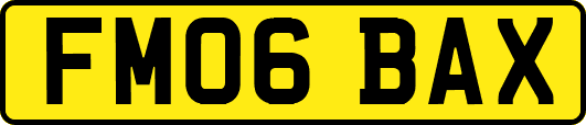 FM06BAX