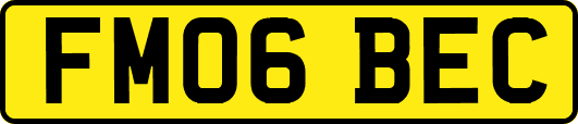 FM06BEC