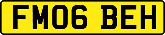 FM06BEH