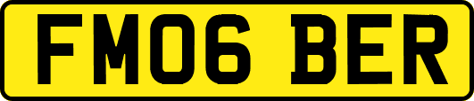 FM06BER