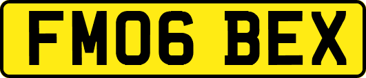 FM06BEX